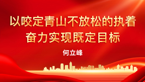  何立峰：以咬定青山不放松的执着奋力实现既定目标