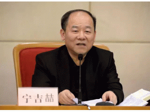  国家发改委副主任宁吉喆详解中央经济工作会议六大方向
